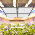 Infared Deep Red Grow Light for Growing Indoor